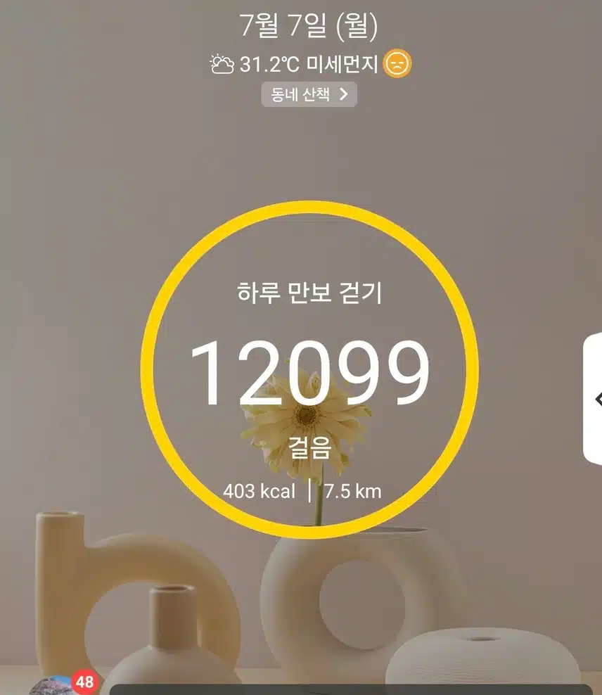 1만보 걷기 운동