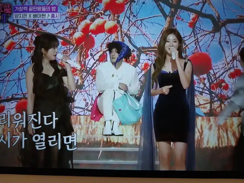 양지은 x 배아현 홍시 무대