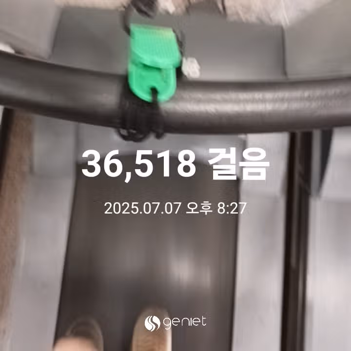 삼만보 걷기 