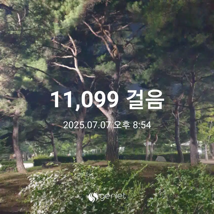 바람결이 반갑네요