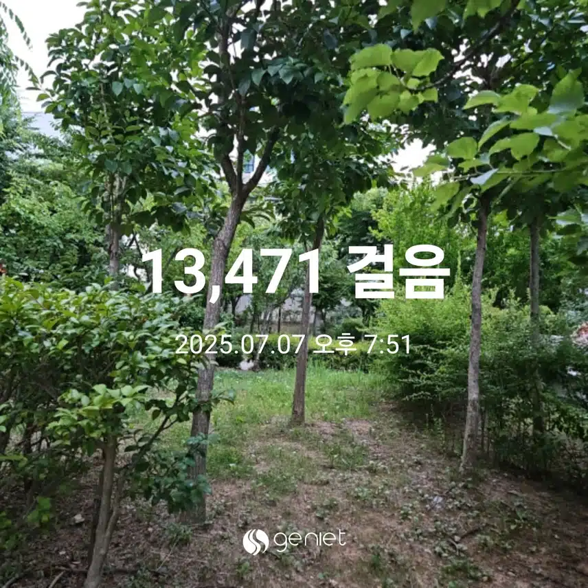저녁 식사후 산책으로 🏃