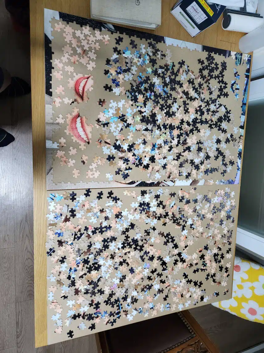 1000피스 퍼즐 맞추기 추천 합니다🤭