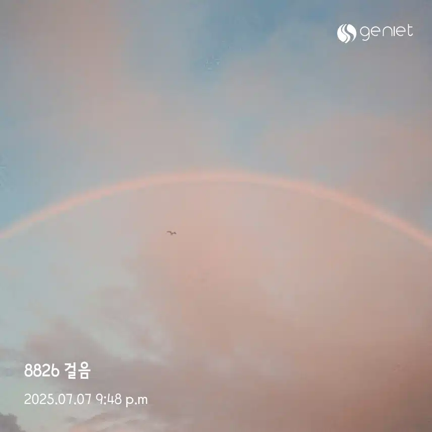 월욜 걷기 