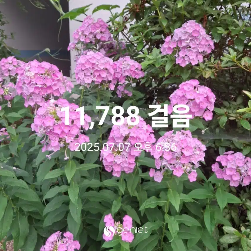 만보걷기와 계단오르기 했어요