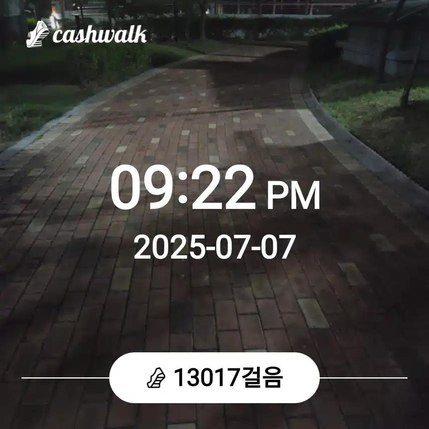 만보걷기를....