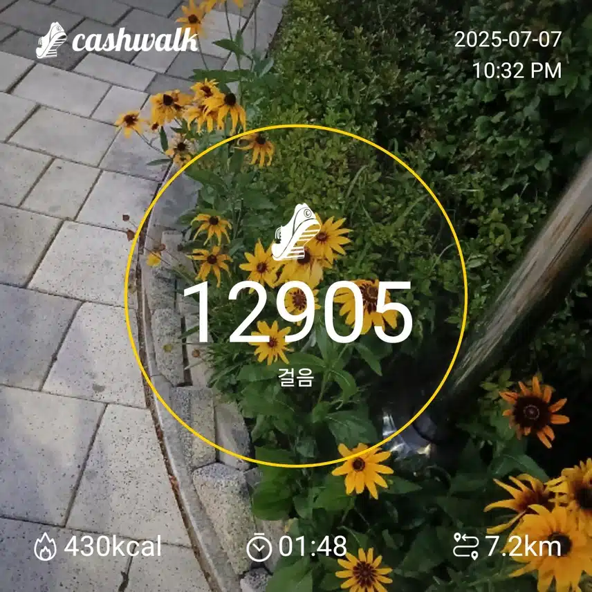 걷기 인증샷241일차