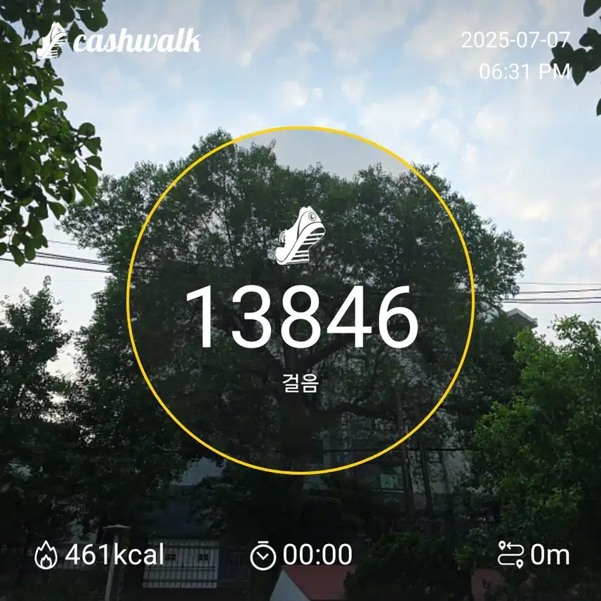 6천보챌 42기 12일차 인증 