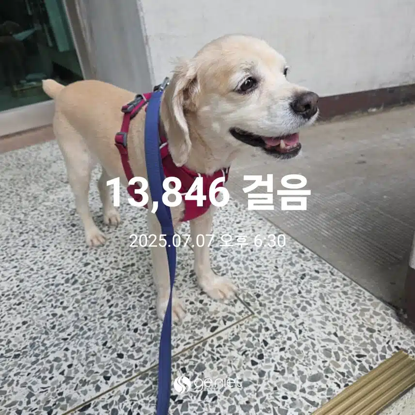 월요일 마무리 