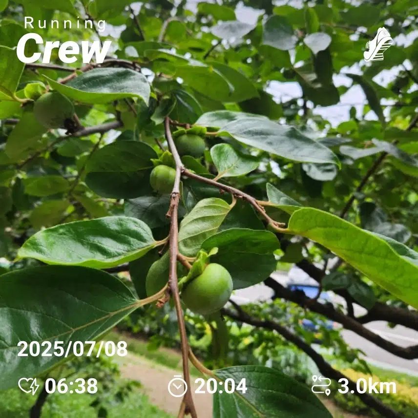 러닝 3km 완주
