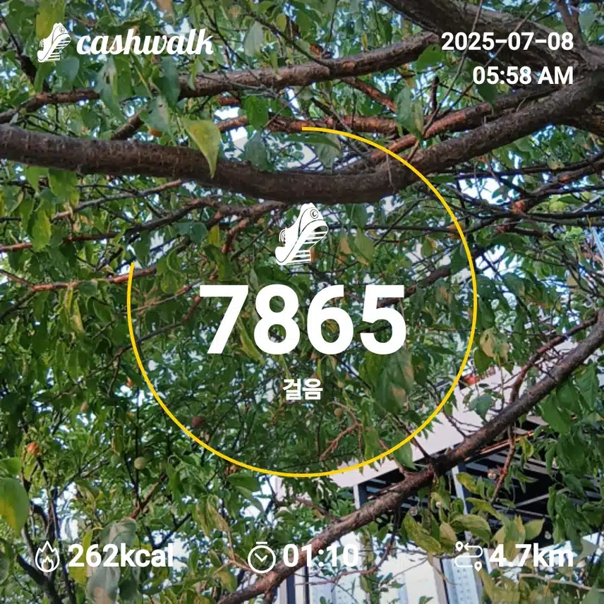 행복