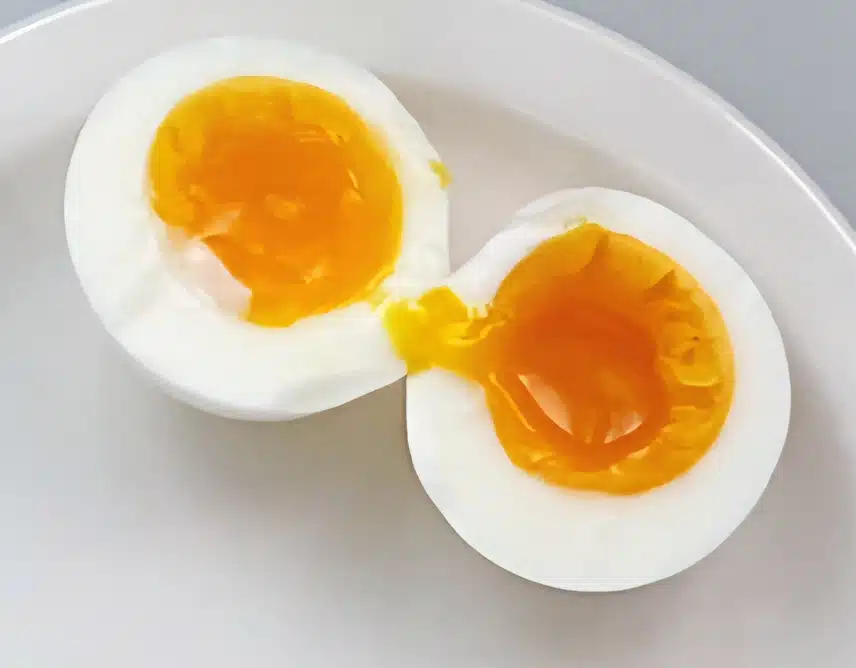 촉촉한 반숙란🥚