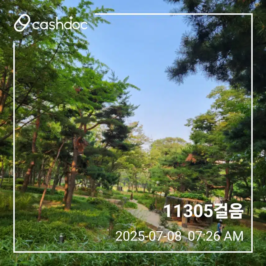 화요일 만보걷기 