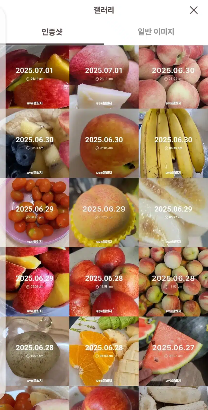 과일찹찹