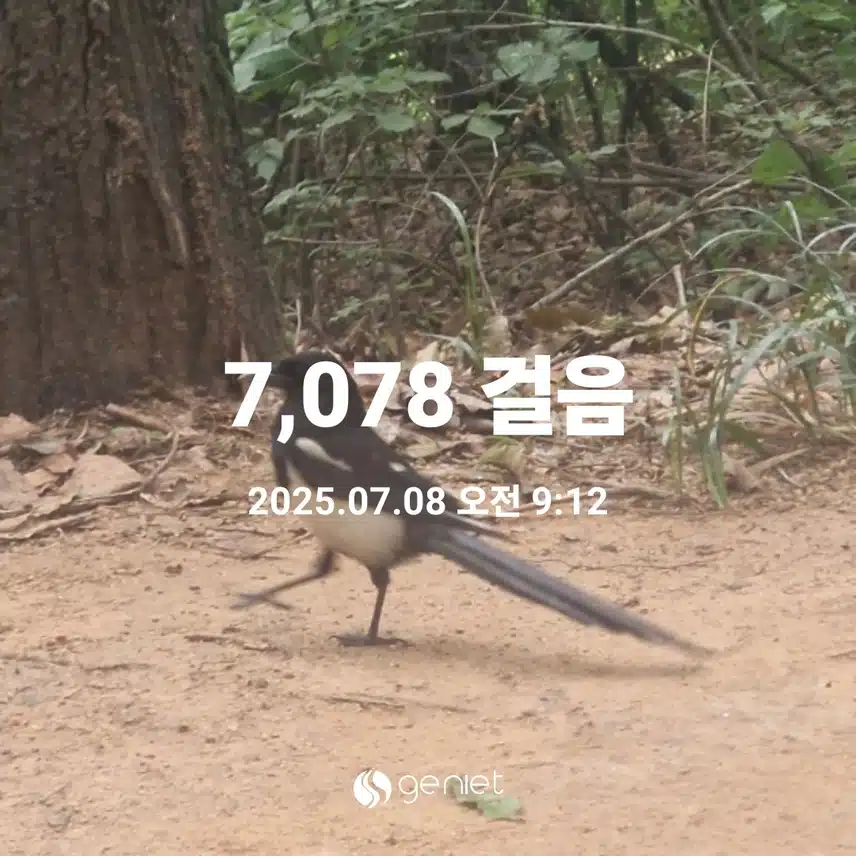 폭염에 숲도 뜨거워요..ㅜ