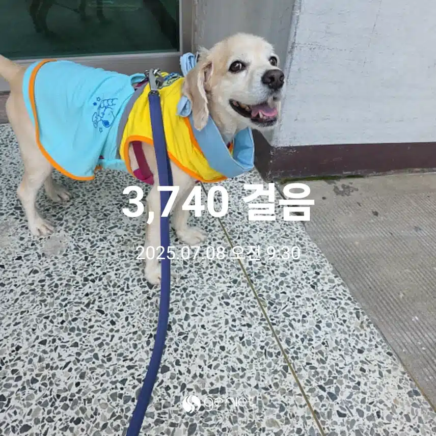 화요일 아침(아침식사?)