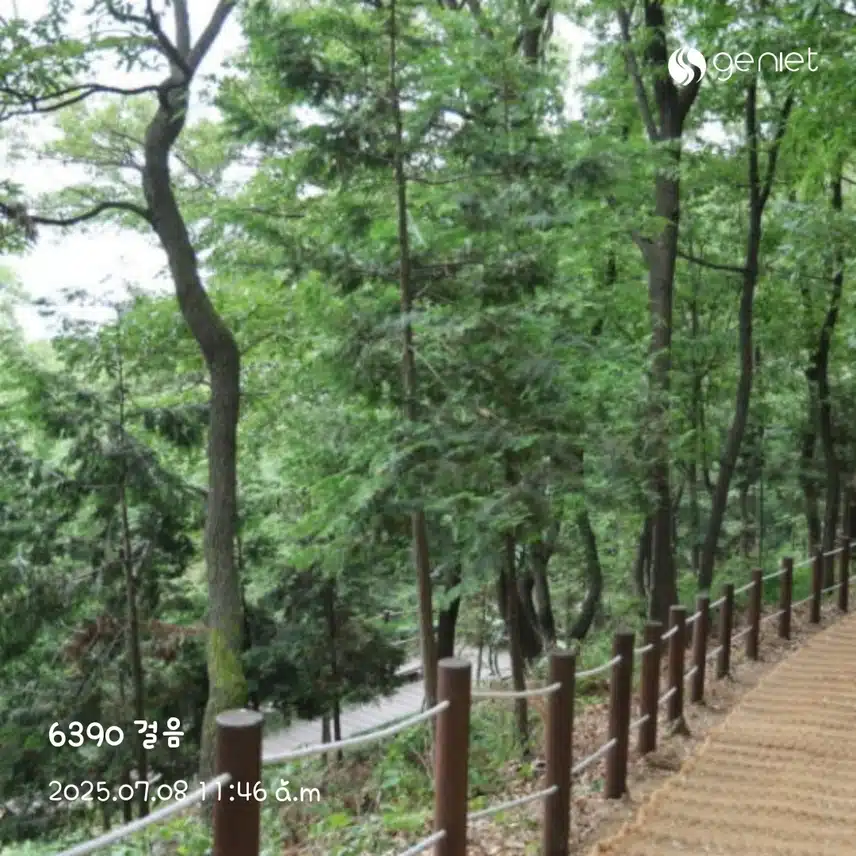 폭염에 엄청 더운 오전 산책~