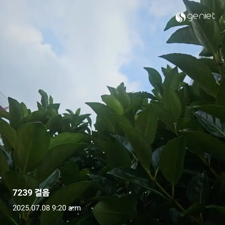 오전 산책으로🏃