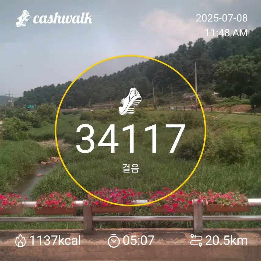 인증 