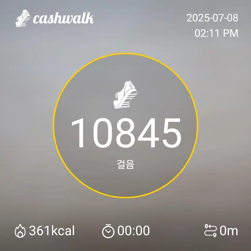 인증