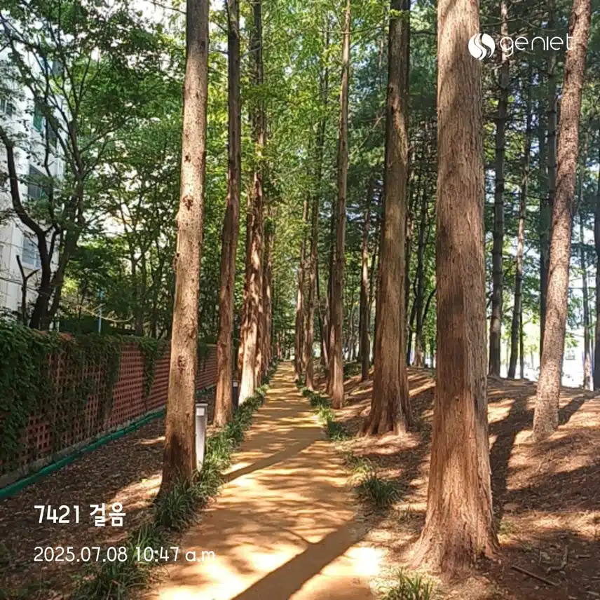 오전걷기