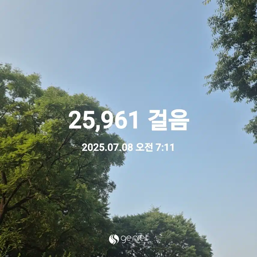 2025년 7월 8일 화요일 걷기 
