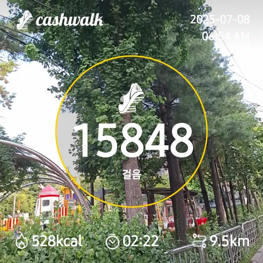 6000보 걷기