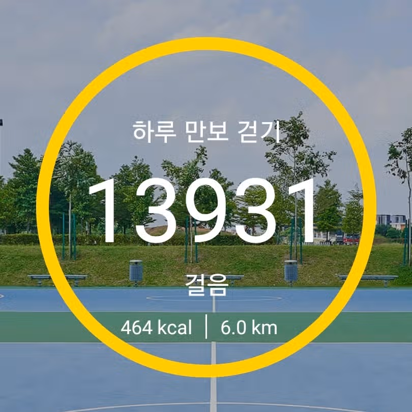 하루 만보걷기 완성