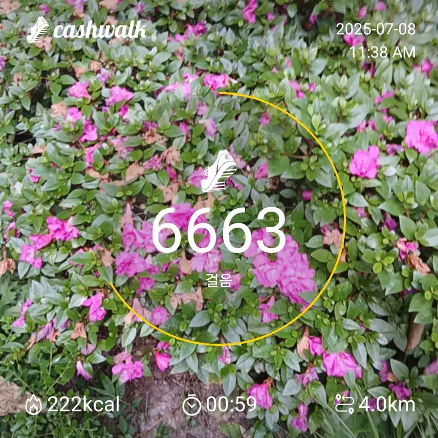 인증 
