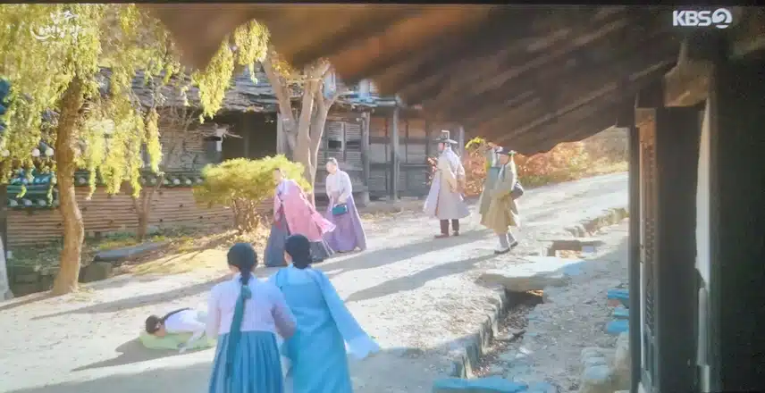 길에서 쓰러진 차선책 ㅠㅠ
