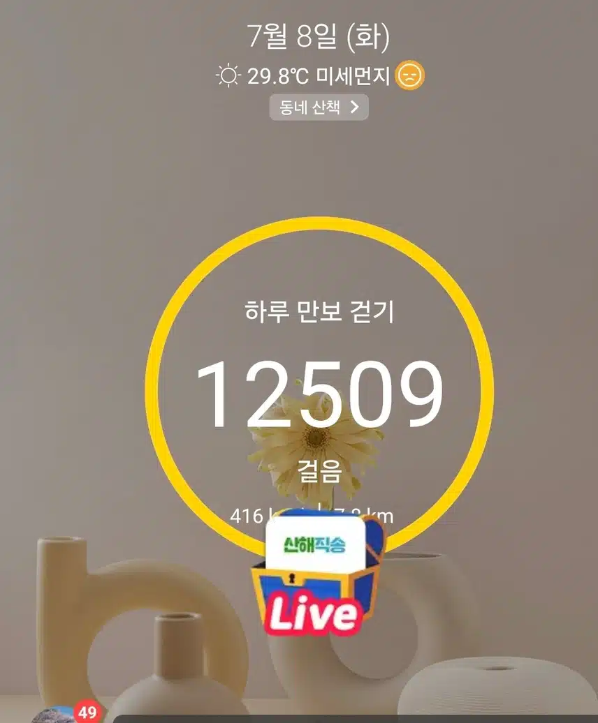 1만보 걷기 운동