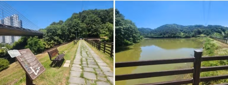 작년 여름에 다녀온 '각화제 능소화터널' 