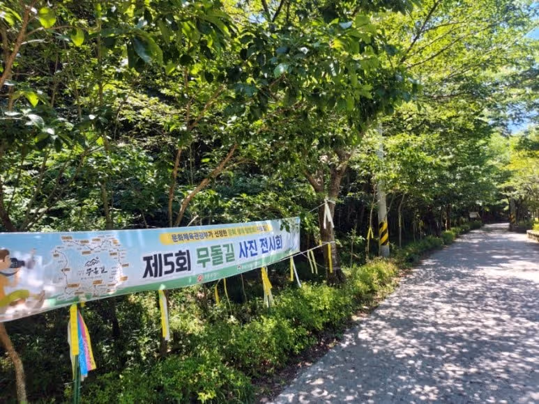 작년 여름에 다녀온 '각화제 능소화터널' 