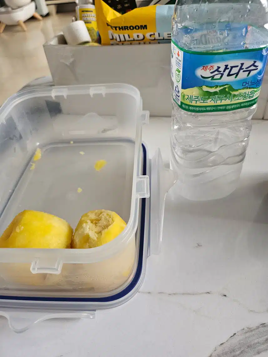 인증샷