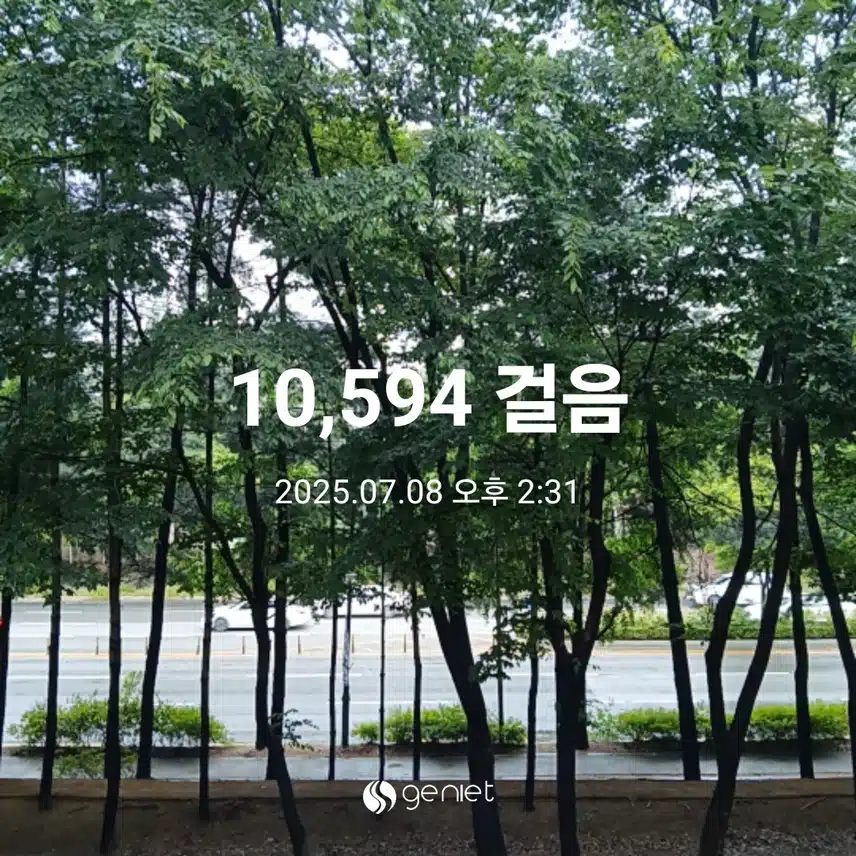 화요일 걷기운동^^