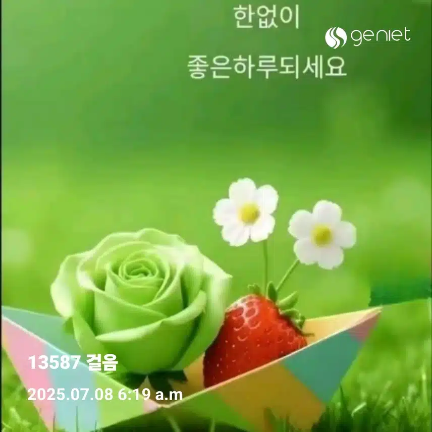  어제밤보다 시원한 새벽운동 만보걷기 
