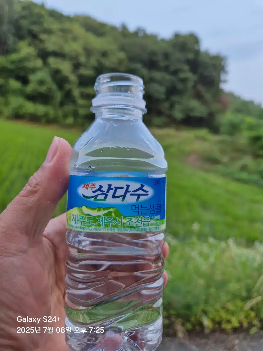 삼다 인증