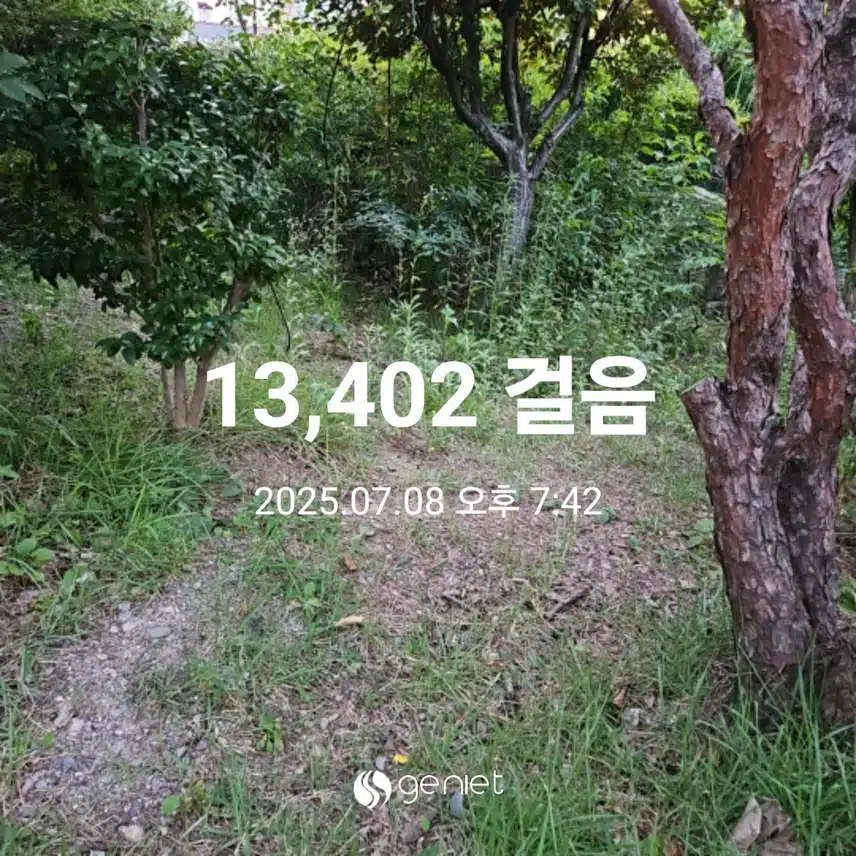 저녁 산책으로 🏃
