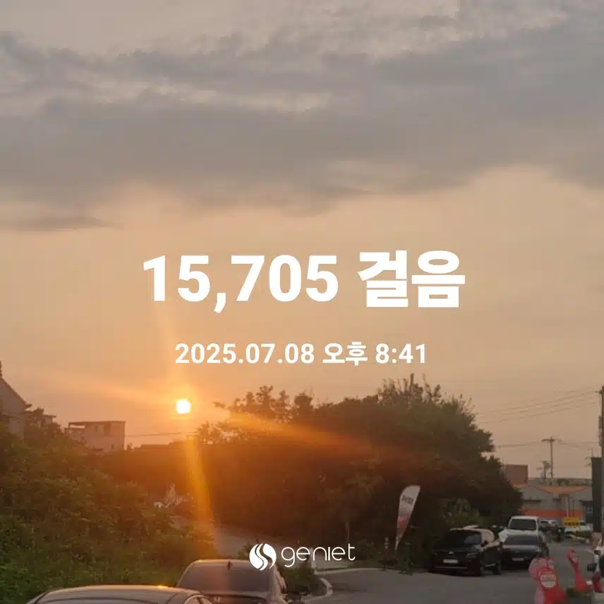 저녁먹고 살살 걸어왔어요...