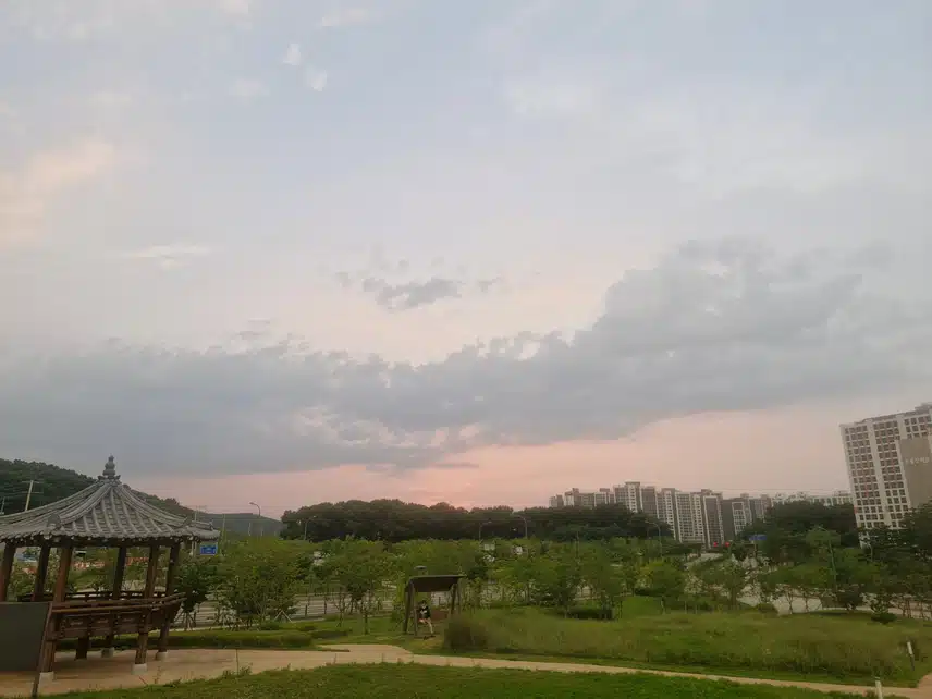 저녁먹고 살살 걸어왔어요...