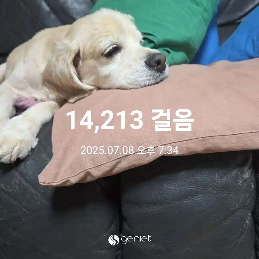 화요일 마무리 