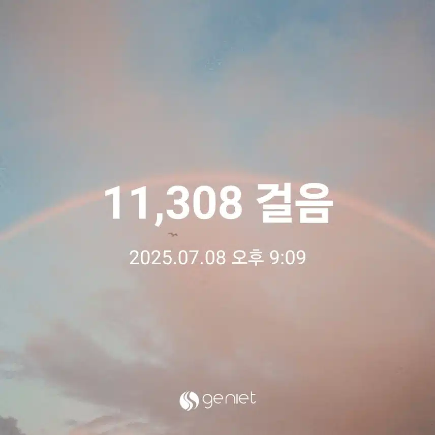 매일 만보는 걷는것같아요