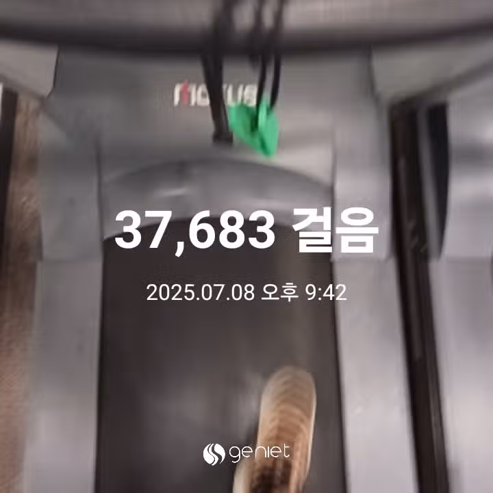 삼만보 걷기 