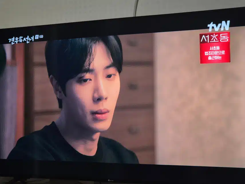 지호와 견우의 브로맨스도 볼만하네요..