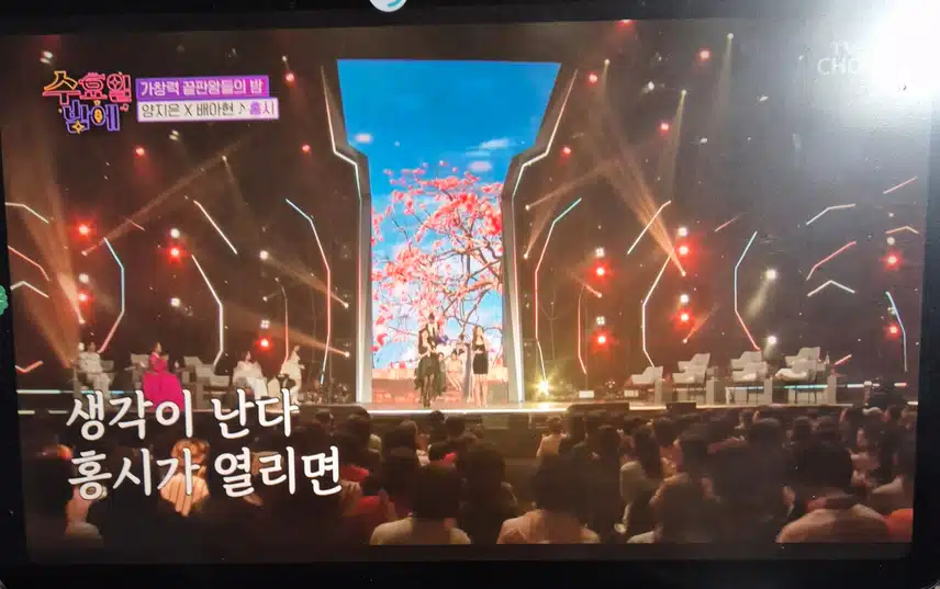수요일밤에 좋아하는 홍시 무대 잘 봤어요.