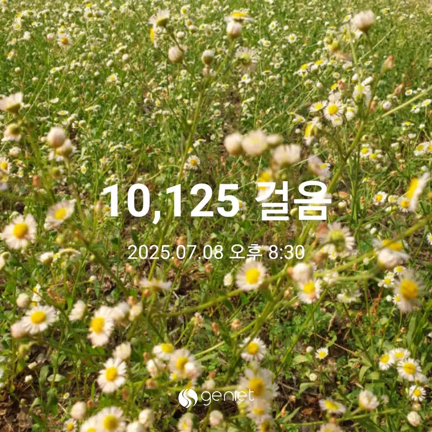 오운완