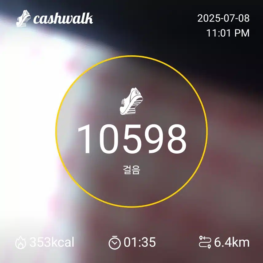 인증