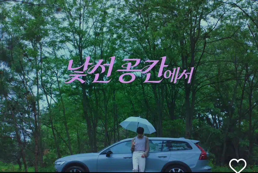 메가커피 인스타에 올라온 앤톤 사진 영상들
