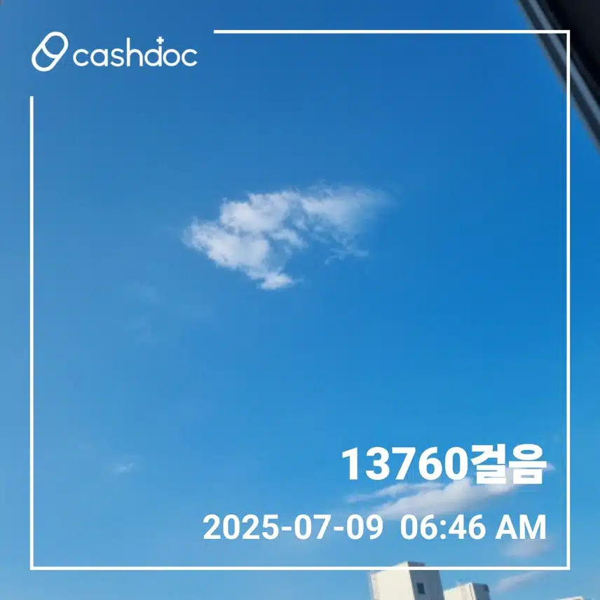   수요일에도 만보걷기 새벽운동 