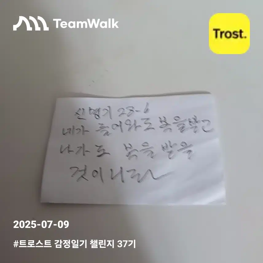 감정일기2일차인증
