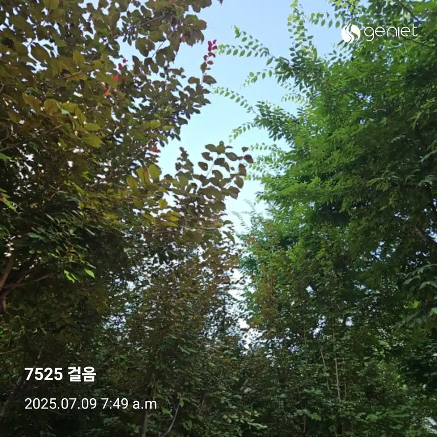 오전 산책으로 🏃